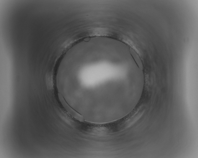 X0000112170203200908141312