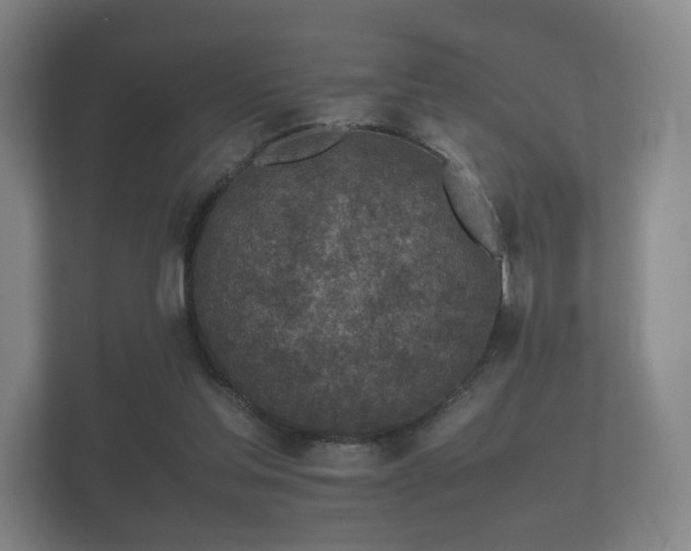 X0000112170205200908141312