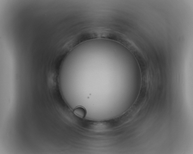 X0000112170218200908141312