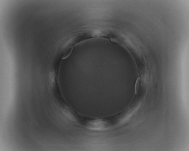 X0000112170219200908141312