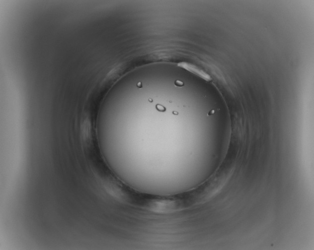 X0000112170220200908141312