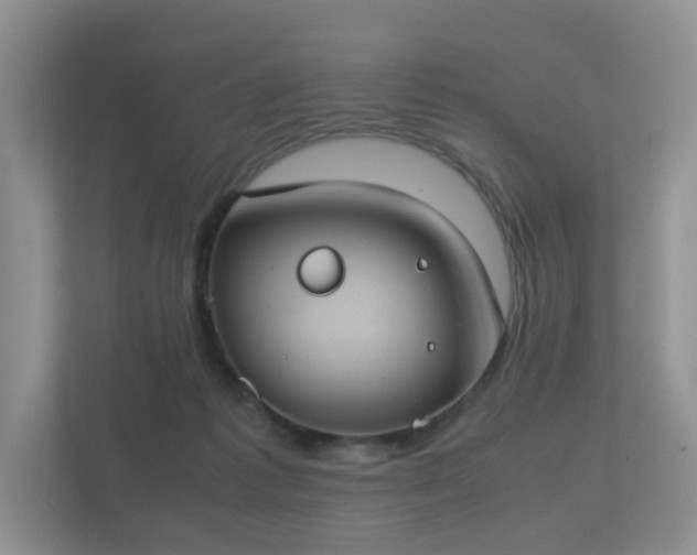 X0000112170221200908141312