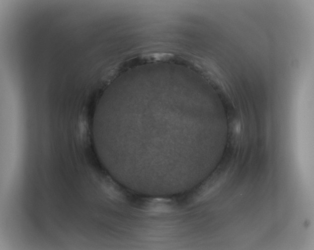 X0000112170222200908141312