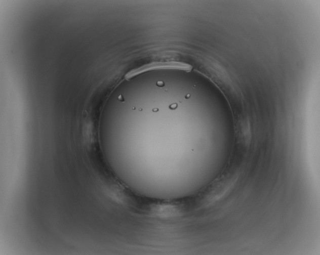 X0000112170224200908141312