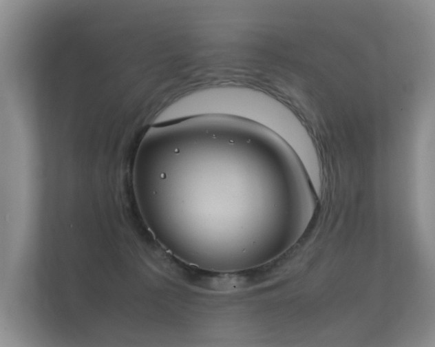 X0000112170225200908141312