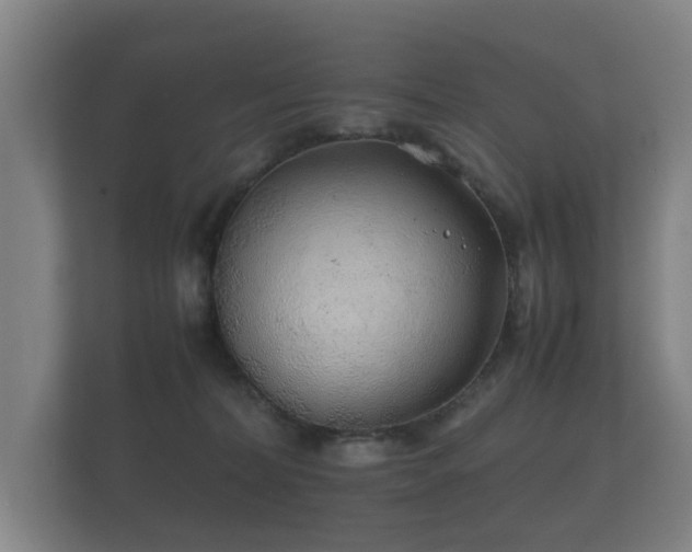 X0000112170228200908141312