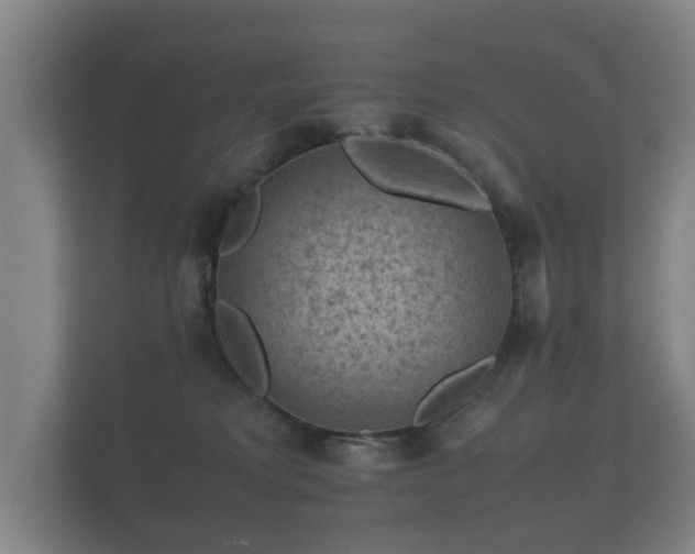 X0000112170229200908141312