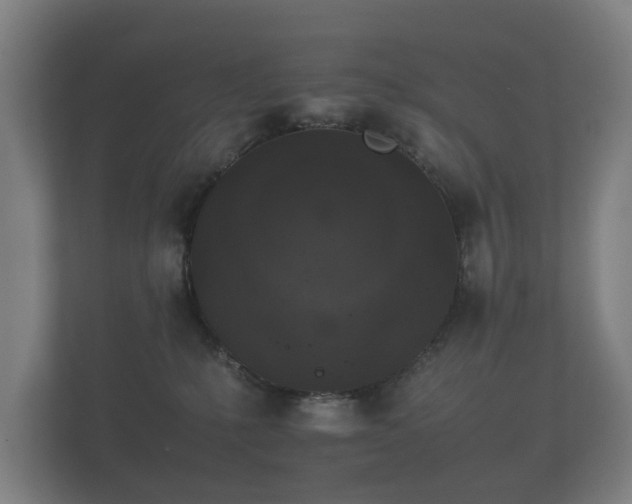 X0000112170231200908141312