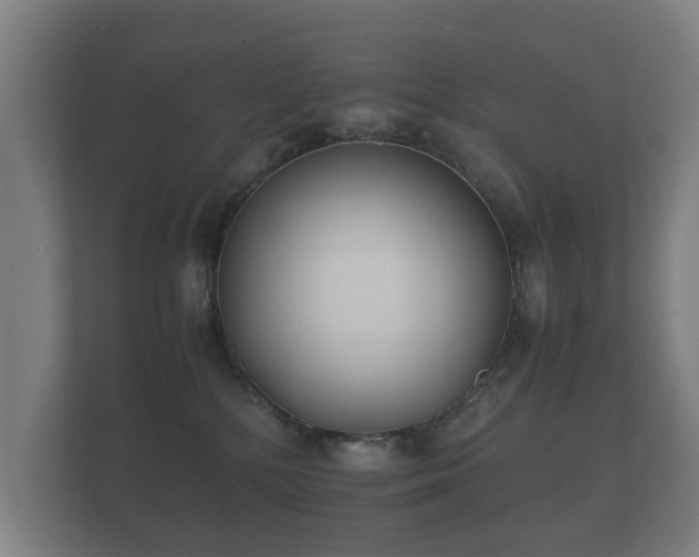 X0000112170232200908141312