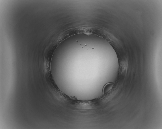 X0000112170236200908141312