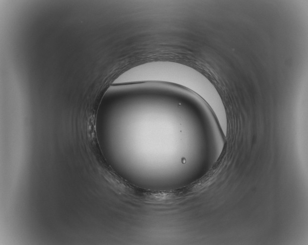 X0000112170237200908141312