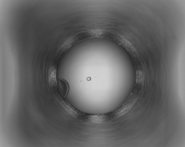 X0000112170238200908141312