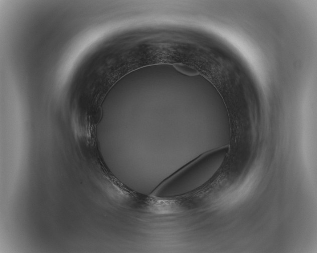 X0000112170239200908141312