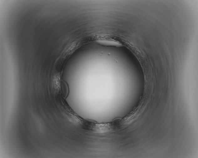 X0000112170240200908141312