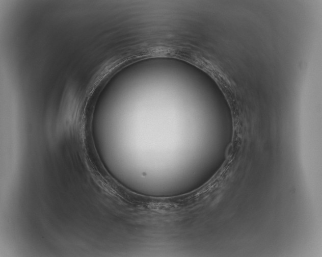 X0000112170242200908141311