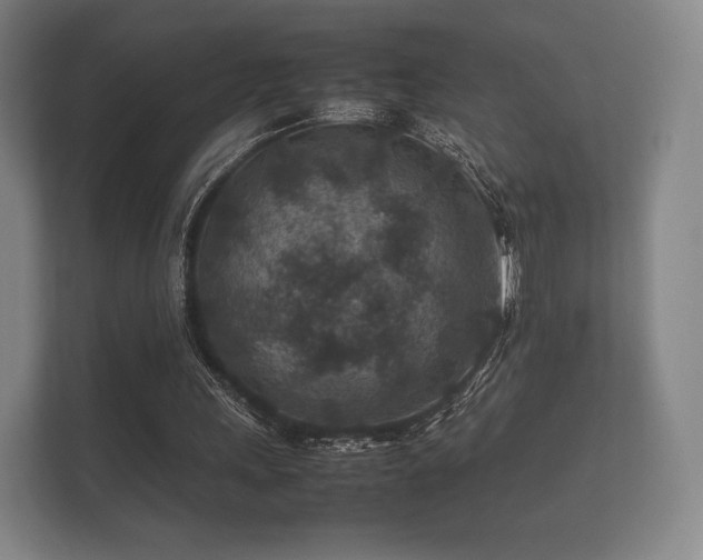 X0000112170243200908141311