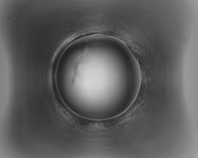 X0000112170244200908141311