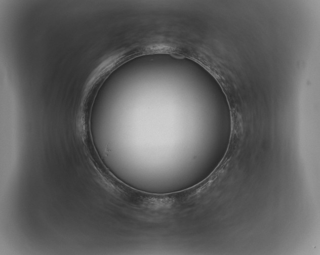 X0000112170245200908141311