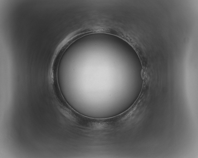 X0000112170246200908141311