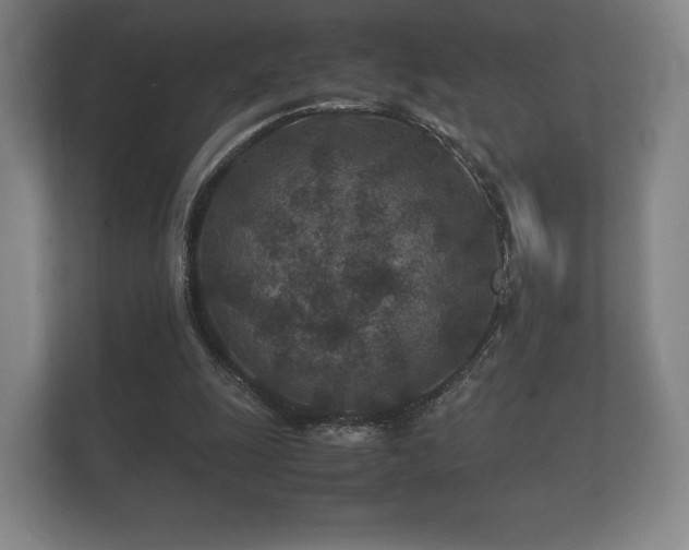 X0000112170247200908141311