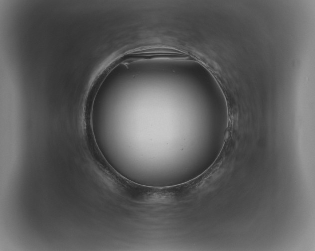 X0000112170248200908141311