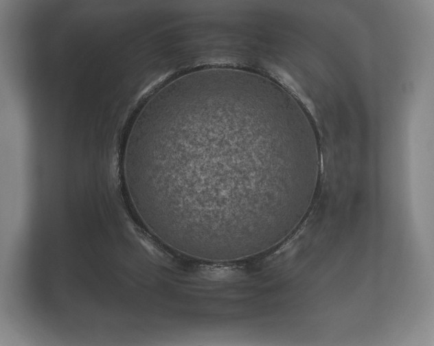 X0000112170249200908141311