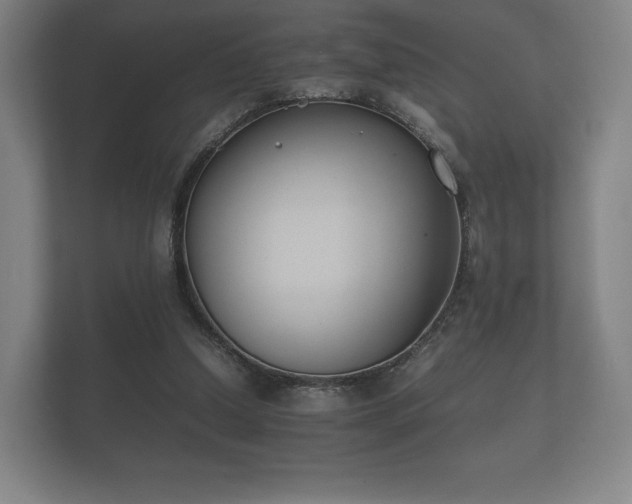 X0000112170250200908141311