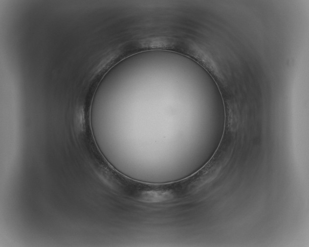 X0000112170251200908141311