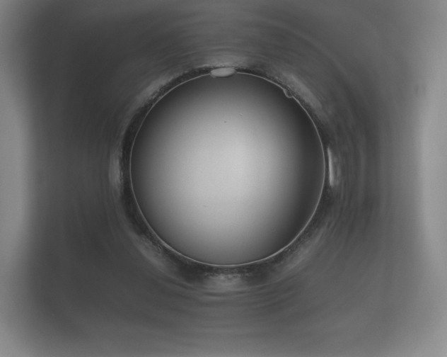 X0000112170252200908141311