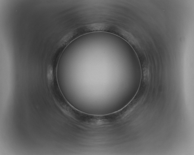 X0000112170254200908141311