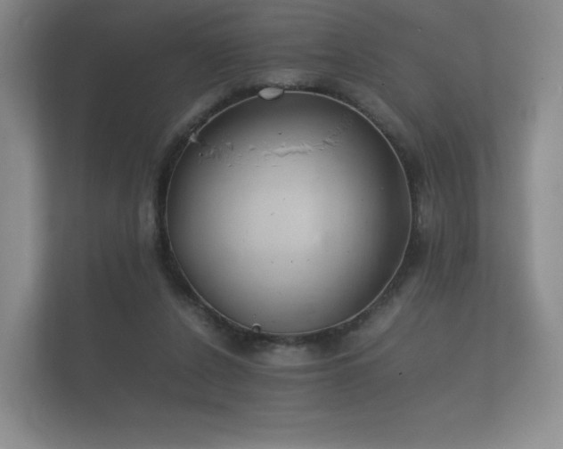 X0000112170256200908141311