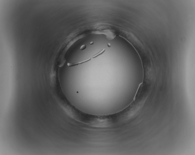 X0000112170260200908141311