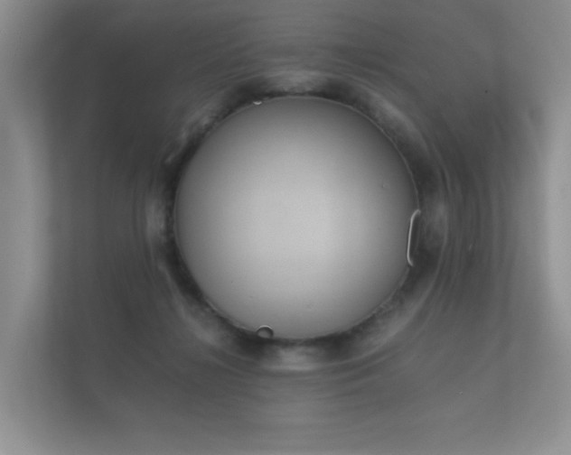 X0000112170268200908141311