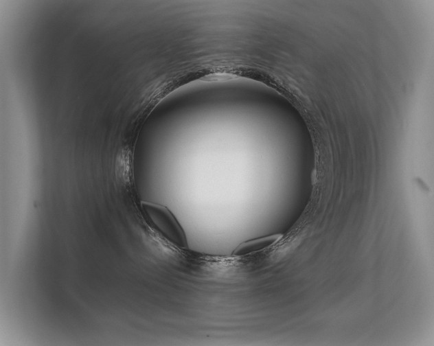 X0000112170288200908141312