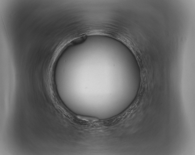 X0000112170289200908141311