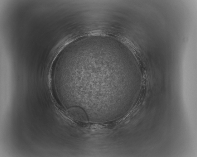 X0000112170290200908141311