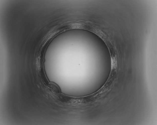 X0000112170291200908141311