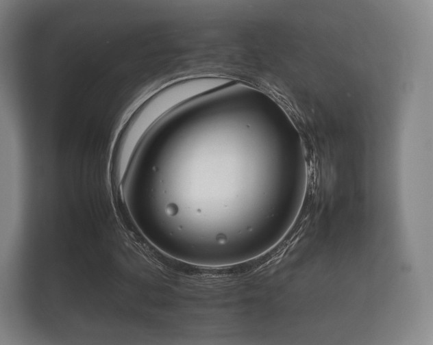 X0000112170292200908141311