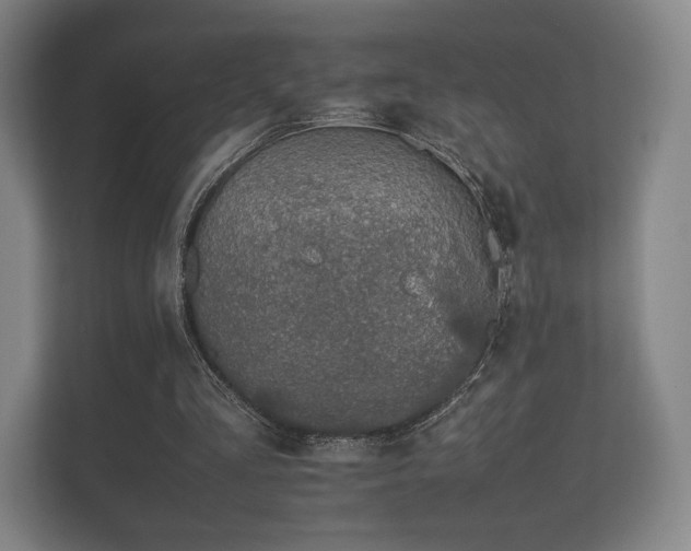 X0000112170293200908141311