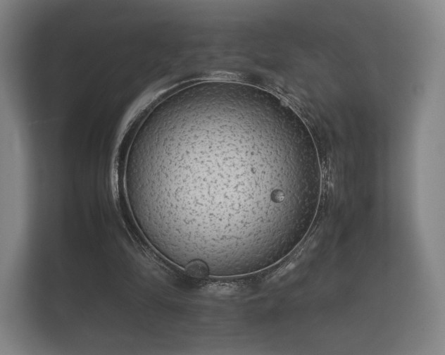 X0000112170294200908141311