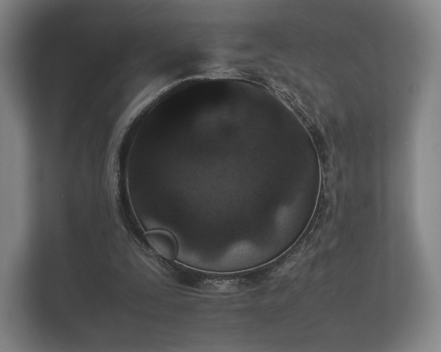 X0000112170295200908141311