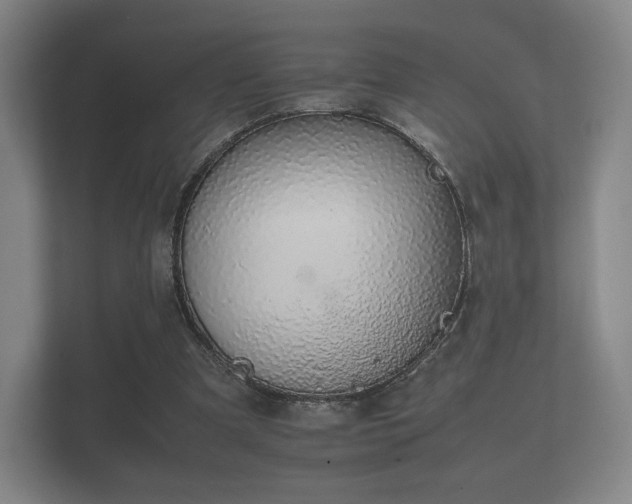 X0000112170297200908141311