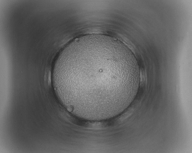 X0000112170301200908141311