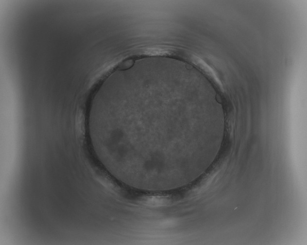 X0000112170303200908141311