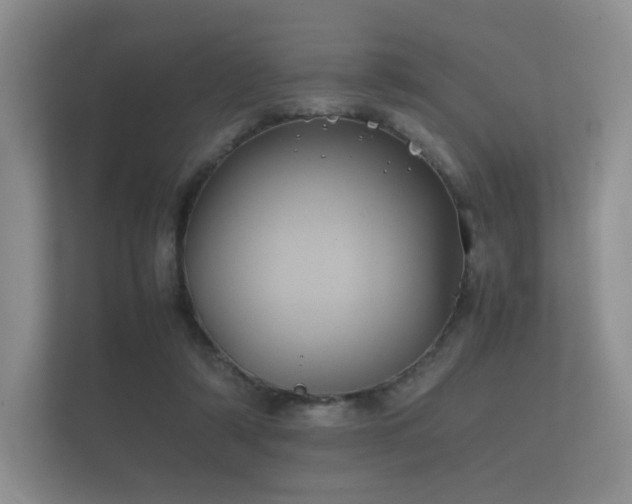 X0000112170306200908141311