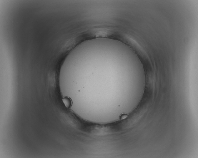 X0000112170311200908141311