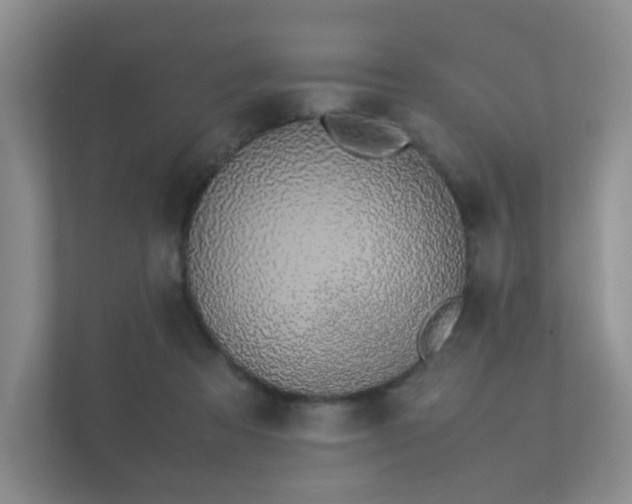 X0000112170313200908141311