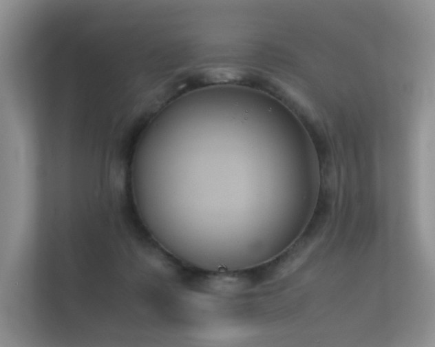 X0000112170315200908141311