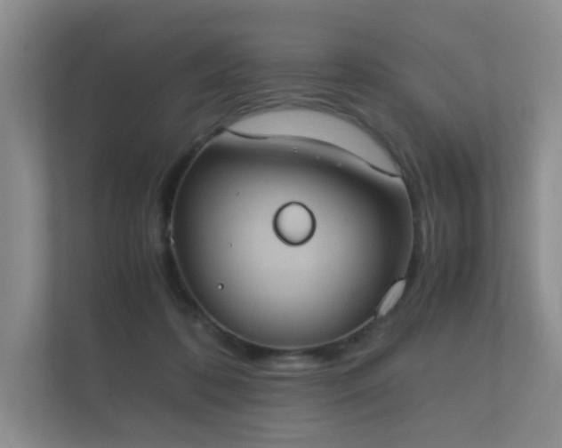 X0000112170316200908141311