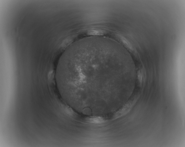 X0000112170322200908141311